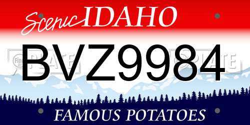 BVZ9984 Idaho License Plate