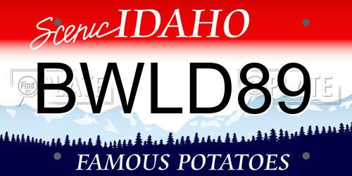 BWLD89 Idaho License Plate