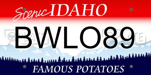 BWLO89 Idaho License Plate