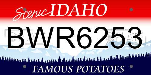 BWR6253 Idaho License Plate