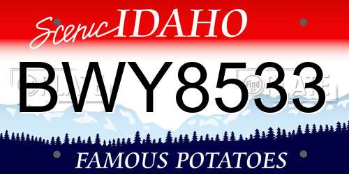 BWY8533 Idaho License Plate