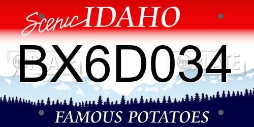 BX6D034 Idaho License Plate