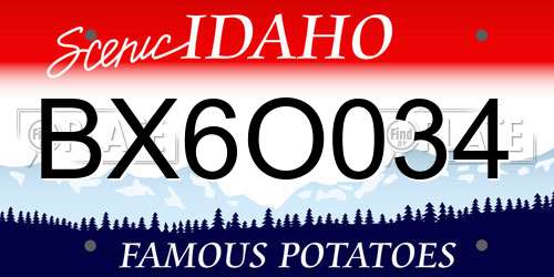 BX6O034 Idaho License Plate