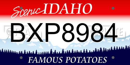 BXP8984 Idaho License Plate