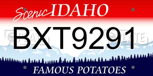 BXT9291 Idaho License Plate