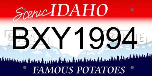 BXY1994 Idaho License Plate