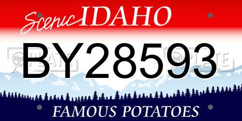 BY28593 Idaho License Plate