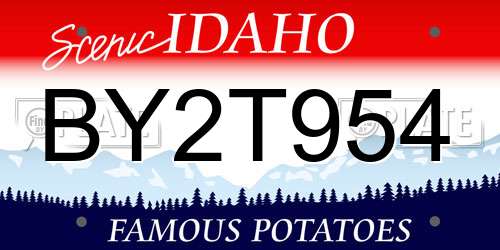 BY2T954 Idaho License Plate