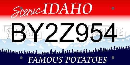 BY2Z954 Idaho License Plate