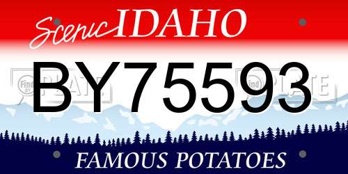 BY75593 Idaho License Plate