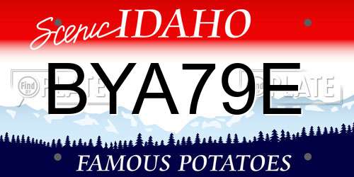 BYA79E Idaho License Plate