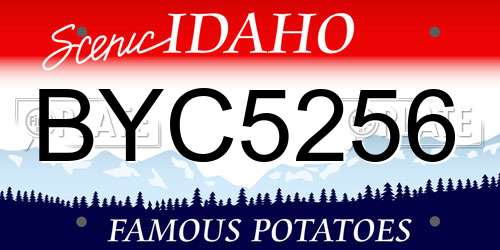BYC5256 Idaho License Plate