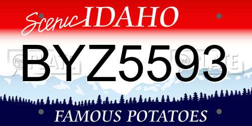 BYZ5593 Idaho License Plate
