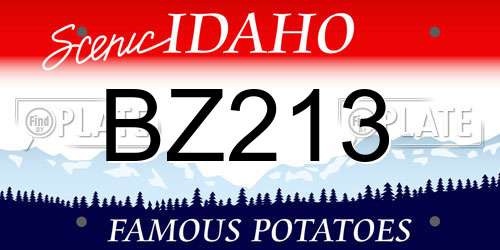 BZ213 Idaho License Plate