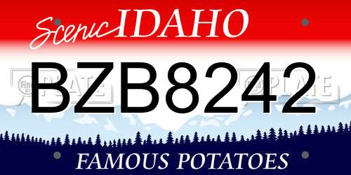 BZB8242 Idaho License Plate