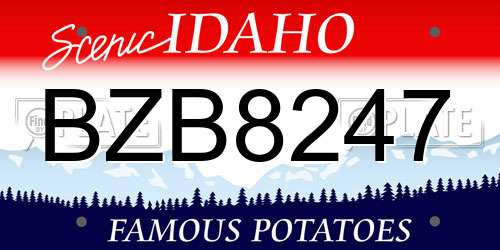 BZB8247 Idaho License Plate