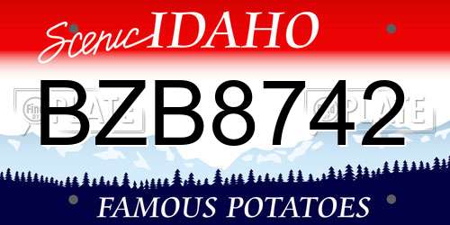 BZB8742 Idaho License Plate