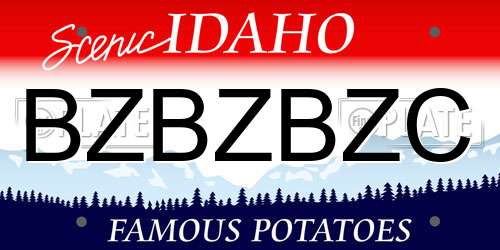 BZBZBZC Idaho License Plate