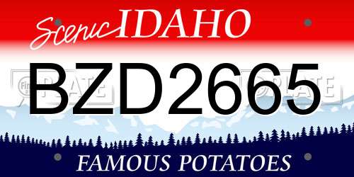 BZD2665 Idaho License Plate