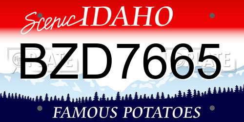 BZD7665 Idaho License Plate