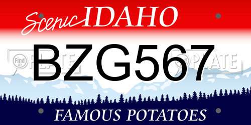 BZG567 Idaho License Plate