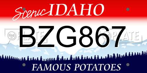 BZG867 Idaho License Plate