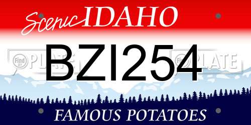 BZI254 Idaho License Plate
