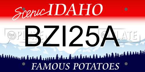 BZI25A Idaho License Plate