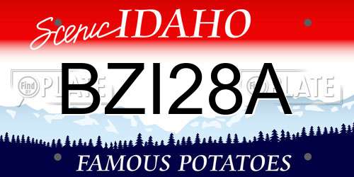 BZI28A Idaho License Plate