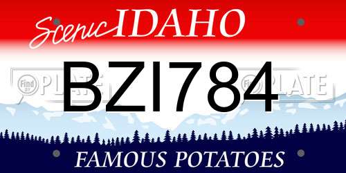 BZI784 Idaho License Plate