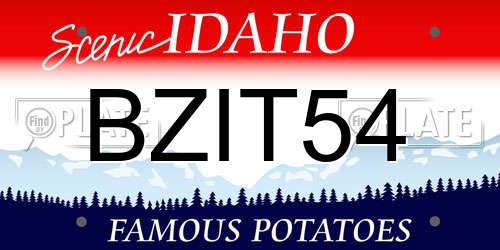 BZIT54 Idaho License Plate