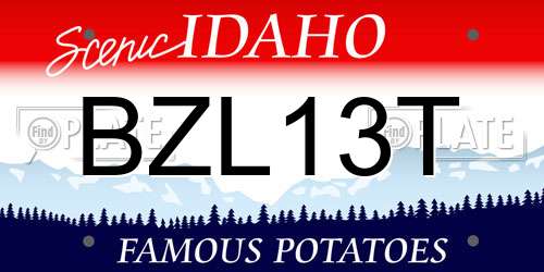 BZL13T Idaho License Plate