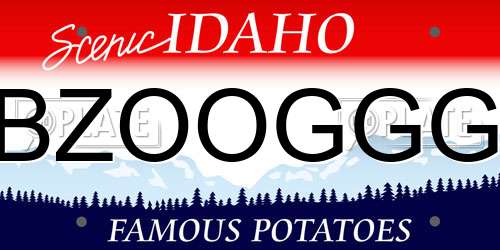 BZOOGGG Idaho License Plate