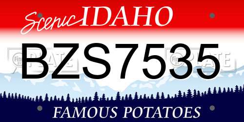 BZS7535 Idaho License Plate