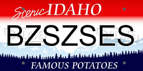 BZSZSES Idaho License Plate