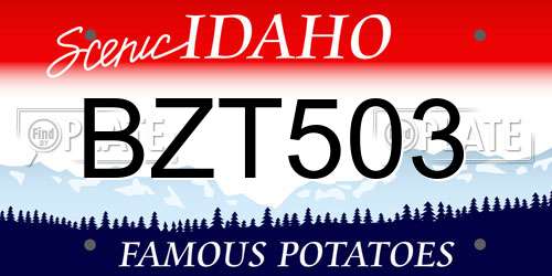 BZT503 Idaho License Plate