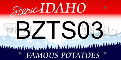 BZTS03 Idaho License Plate