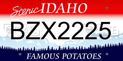 BZX2225 Idaho License Plate