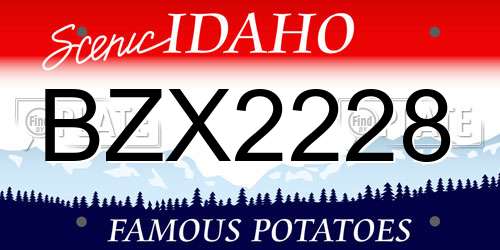 BZX2228 Idaho License Plate