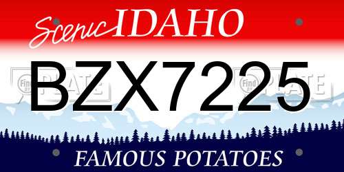 BZX7225 Idaho License Plate