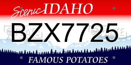 BZX7725 Idaho License Plate