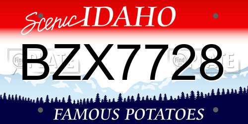 BZX7728 Idaho License Plate