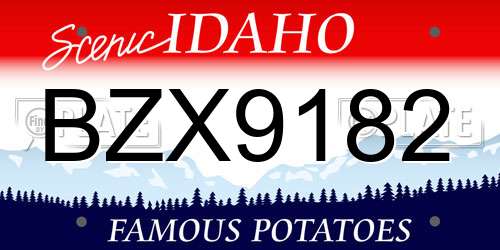 BZX9182 Idaho License Plate