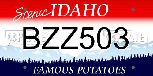 BZZ503 Idaho License Plate