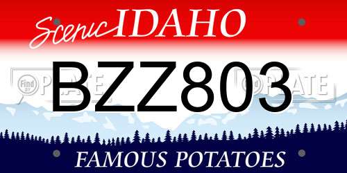 BZZ803 Idaho License Plate