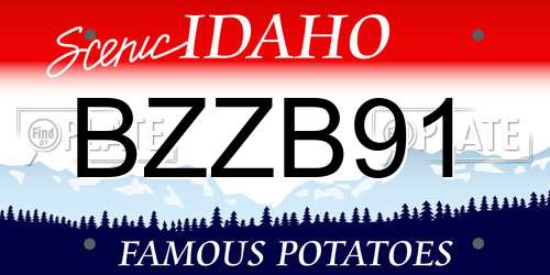 BZZB91 Idaho License Plate