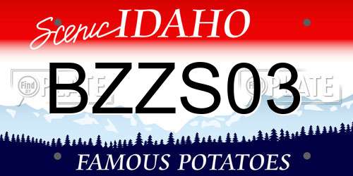 BZZS03 Idaho License Plate