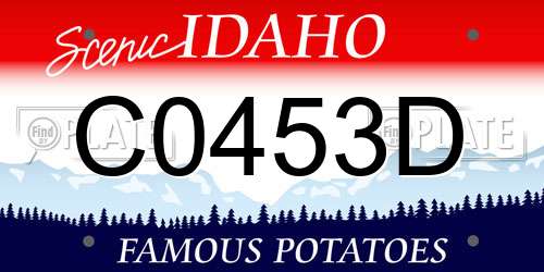C0453D Idaho License Plate