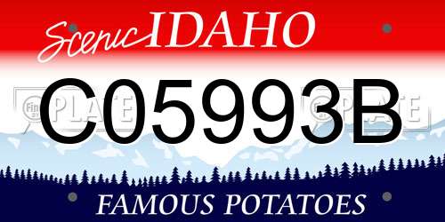 C05993B Idaho License Plate