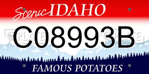 C08993B Idaho License Plate